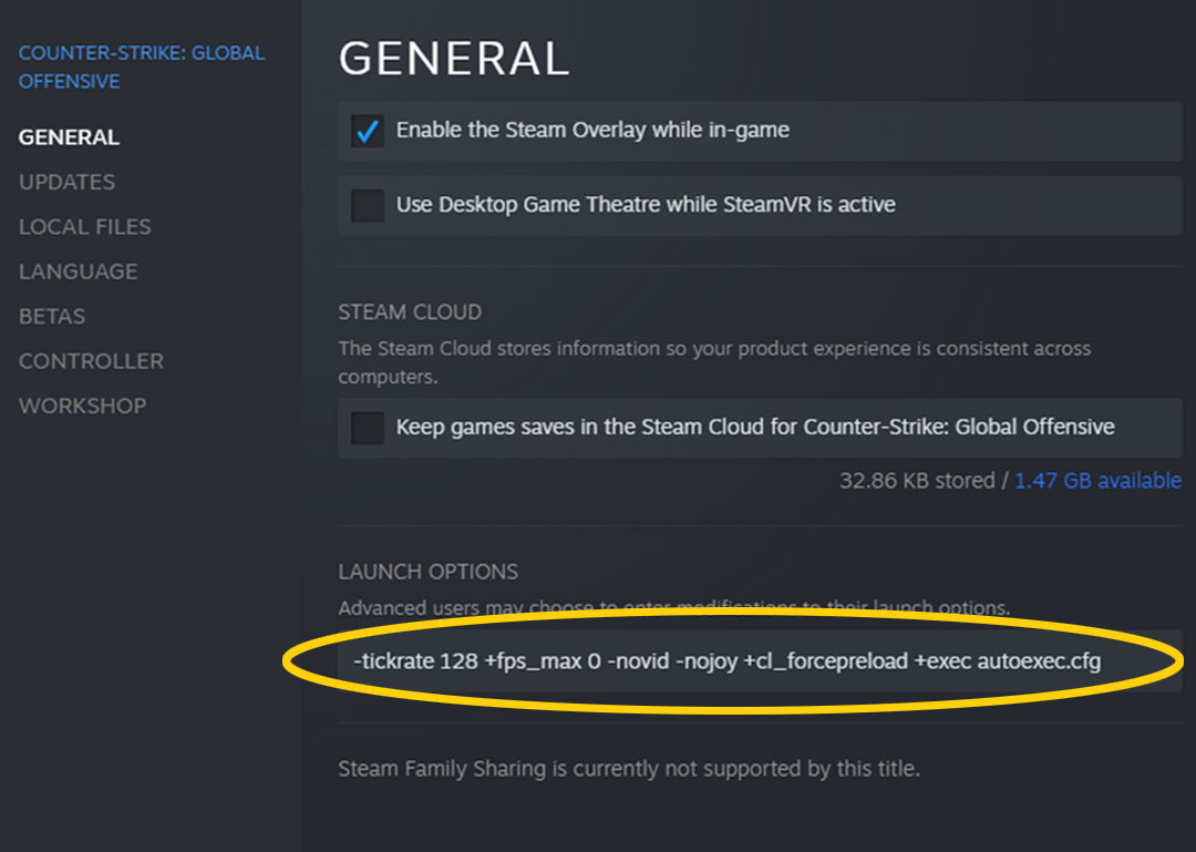 CSGO launch options location